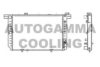 AUTOGAMMA 107042 Radiator, engine cooling